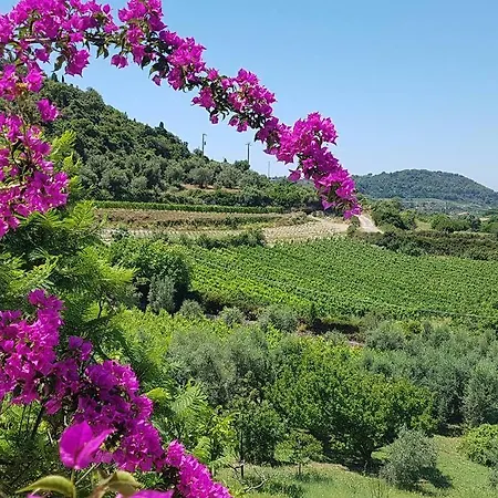 Portico Montiferru Casa vacanze *